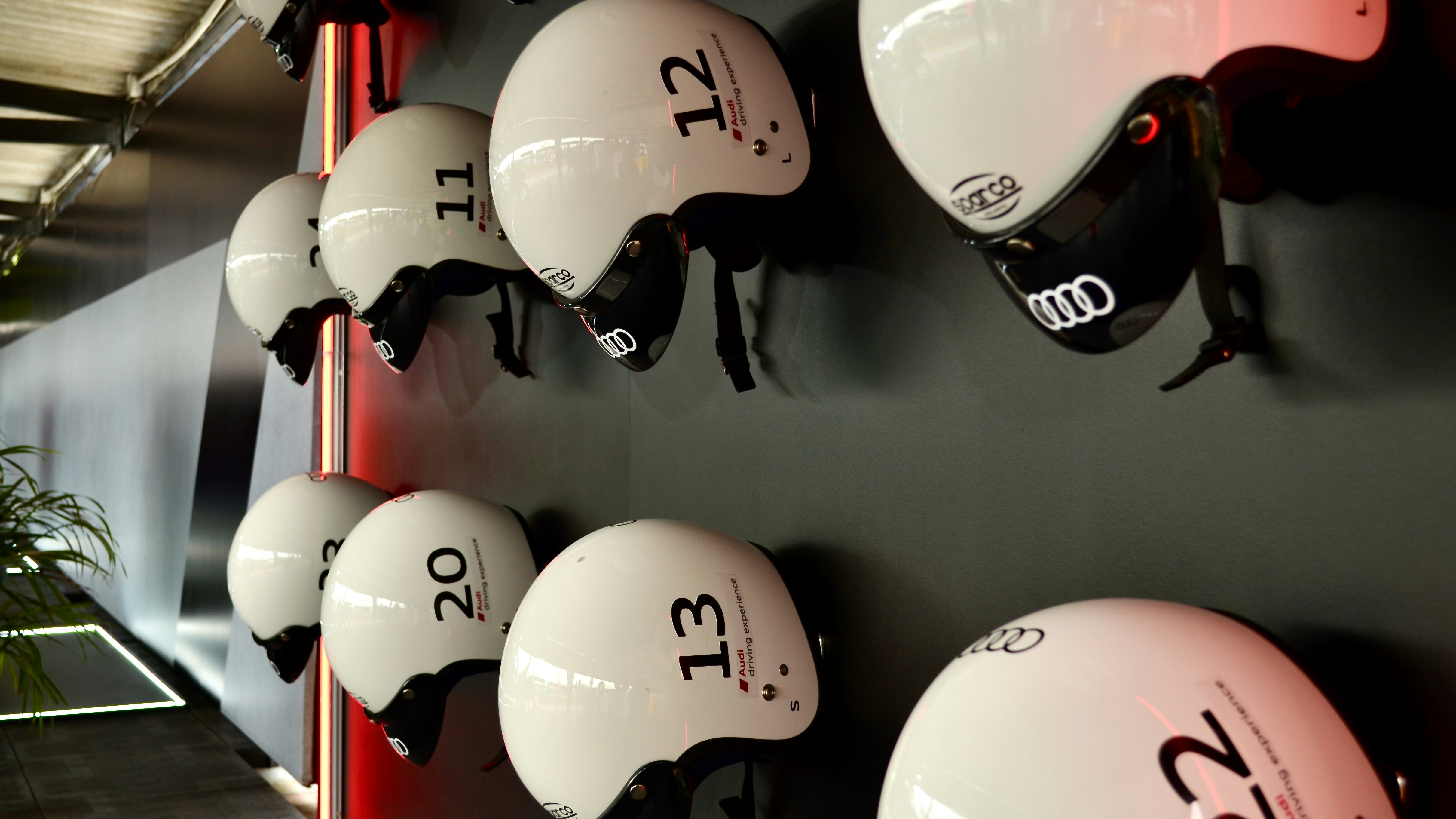 Organizador para cascos