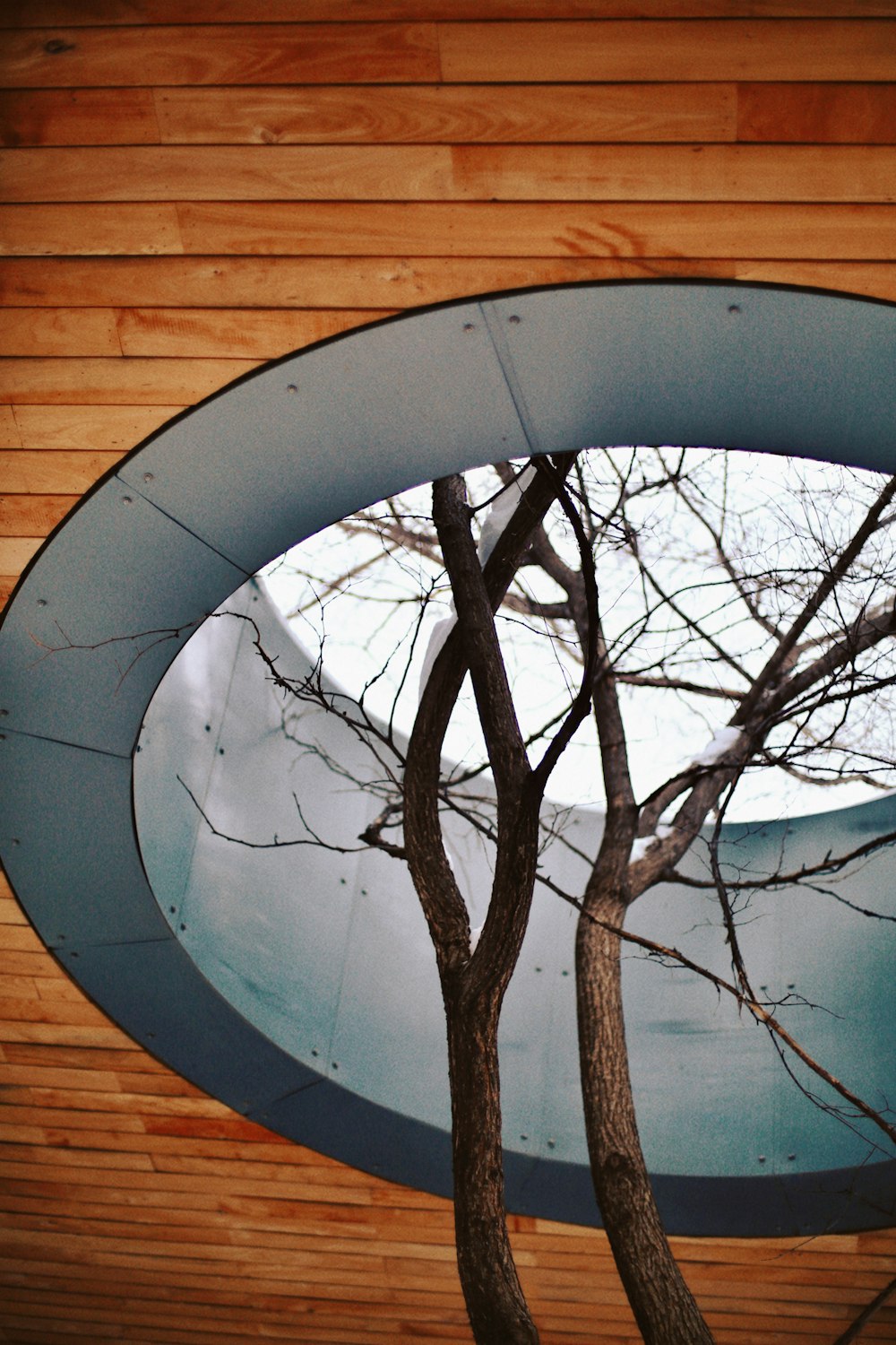 a circular mirror reflecting a tree in a room