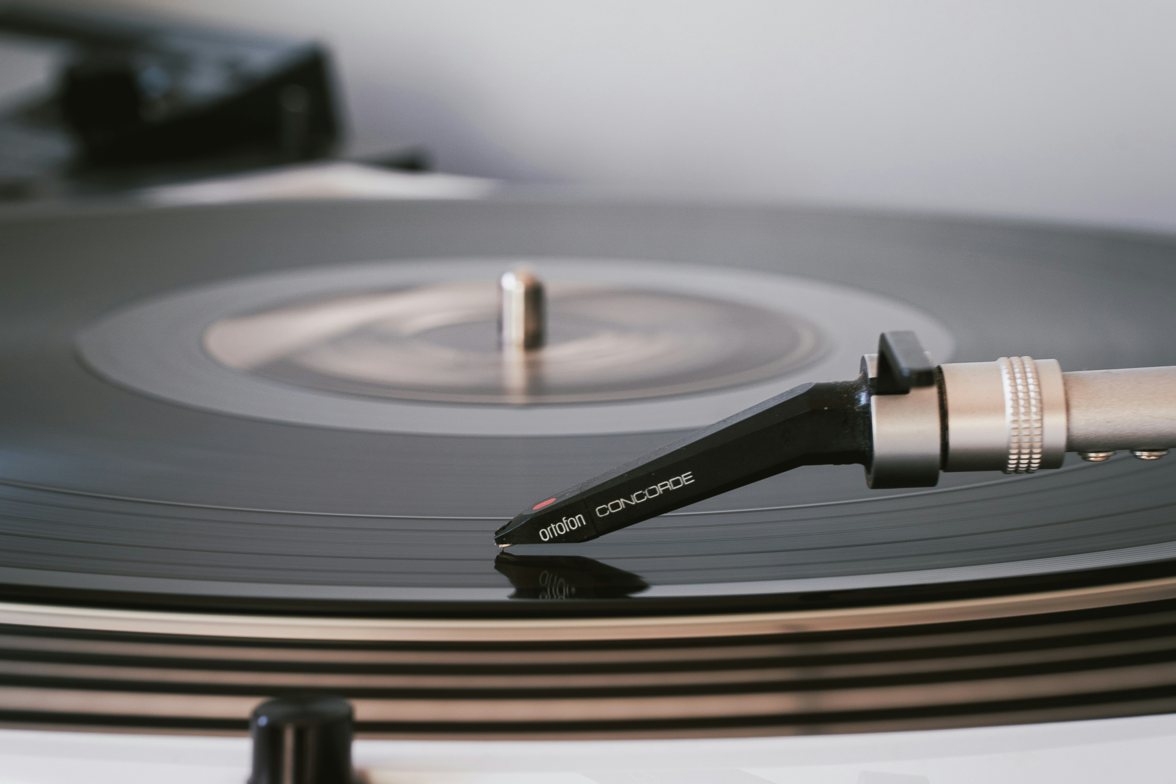 Photo by katalinsalles