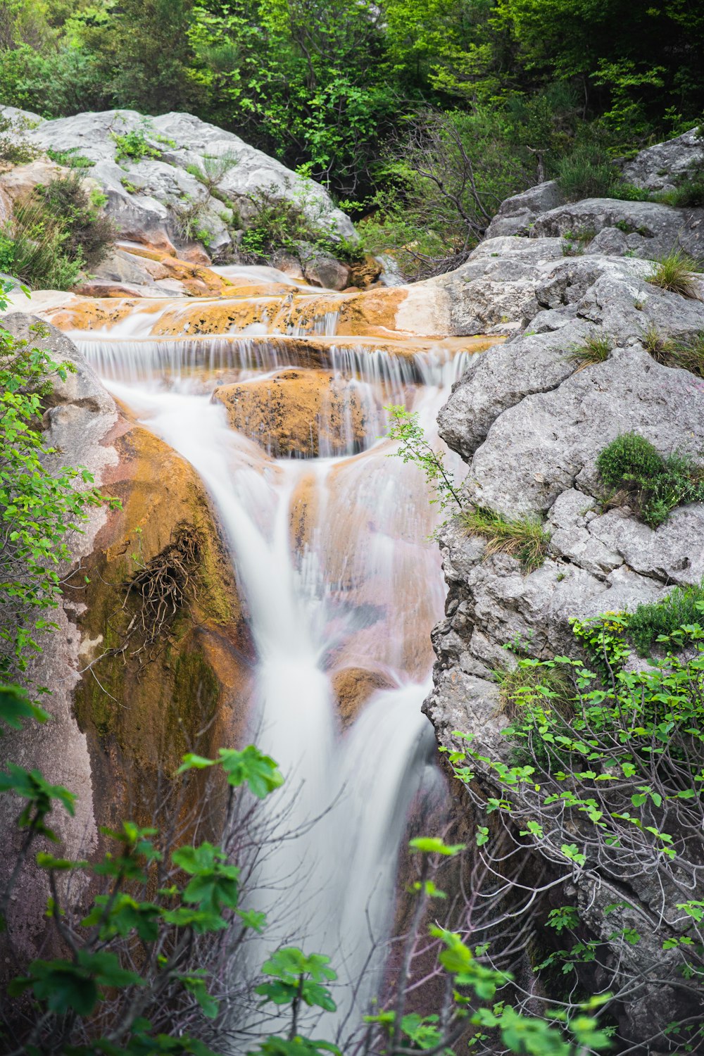 a small waterfall in the middle of a forest