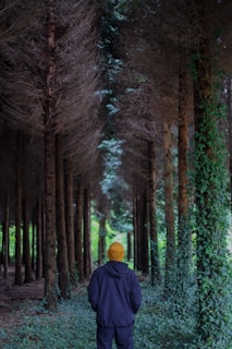 a person in a blue jacket walking through a forest