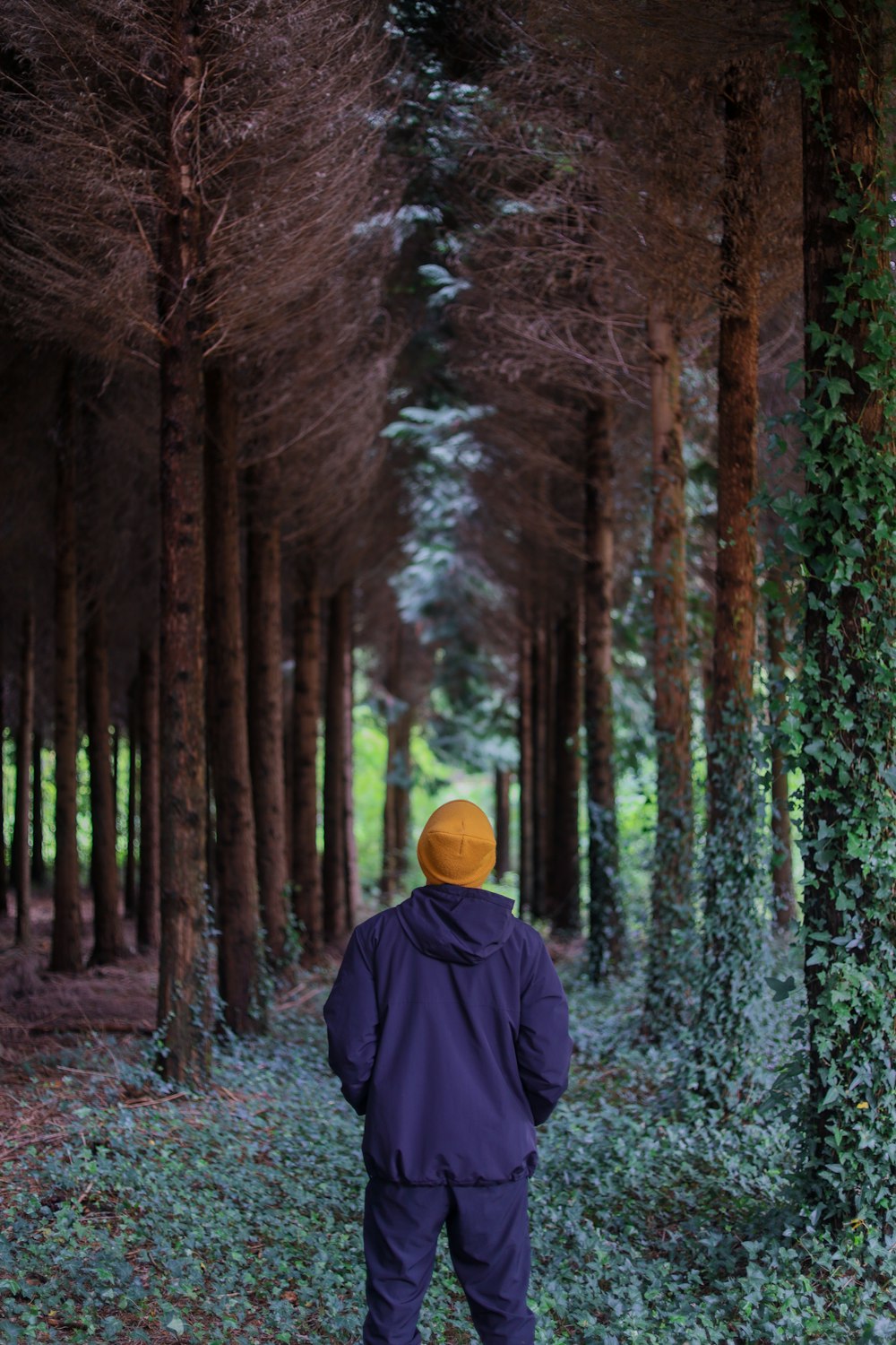 Eine Person mit einem gelben Hut geht durch den Wald