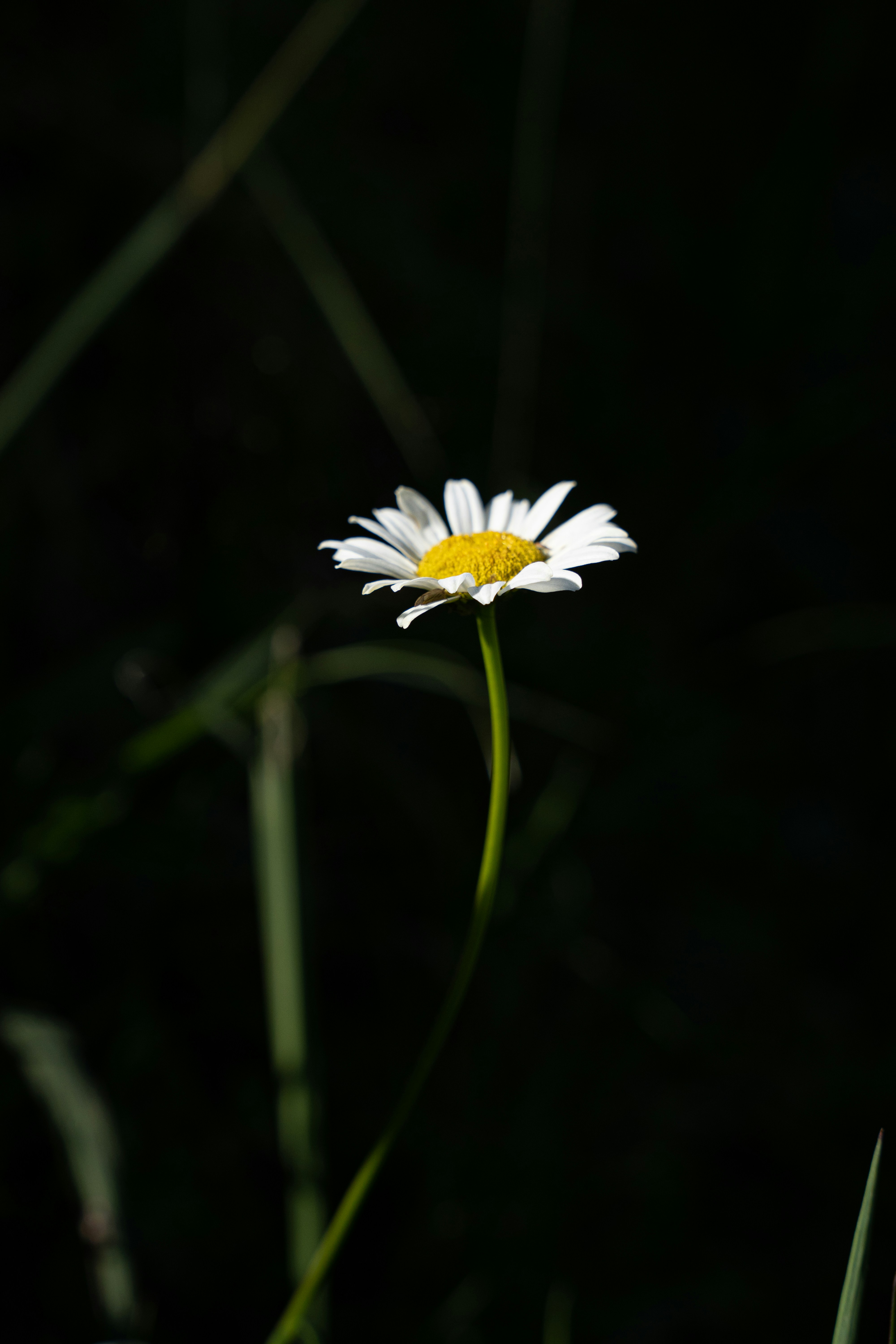 Photo by katalinsalles