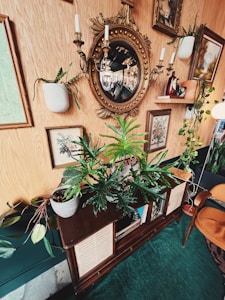 A cozy living room corner featuring vintage decor elements such as a gold ornate mirror with candelabras and various framed paintings and prints. A dark wooden cabinet holds plants, with leafy green plants cascading down. The room is warmly lit and has mid-century modern furniture, including a wooden chair with an orange cushion.