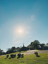 A clean, cleared yard after debris removal on a sunny day