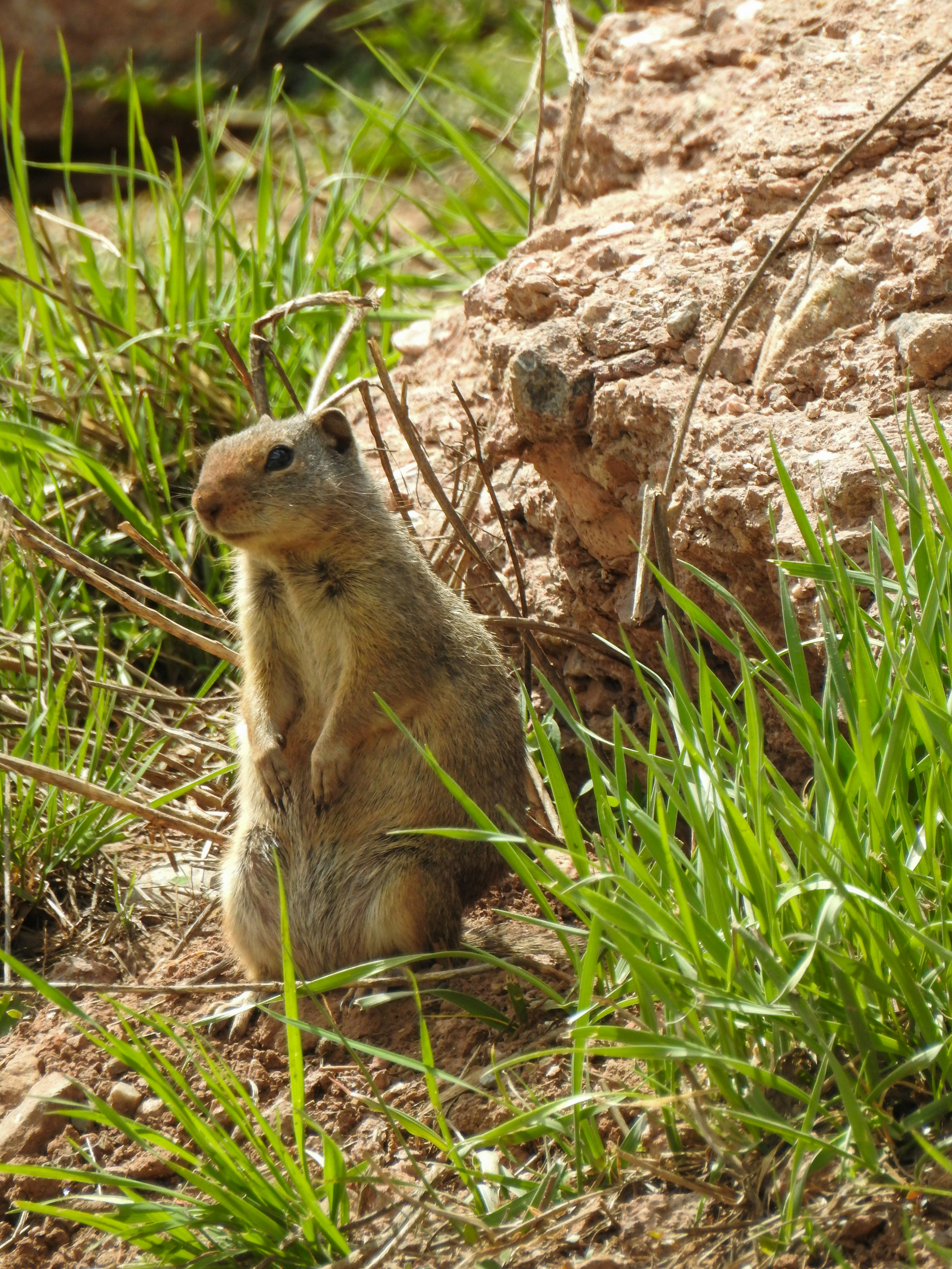 Photo by judd_nichols