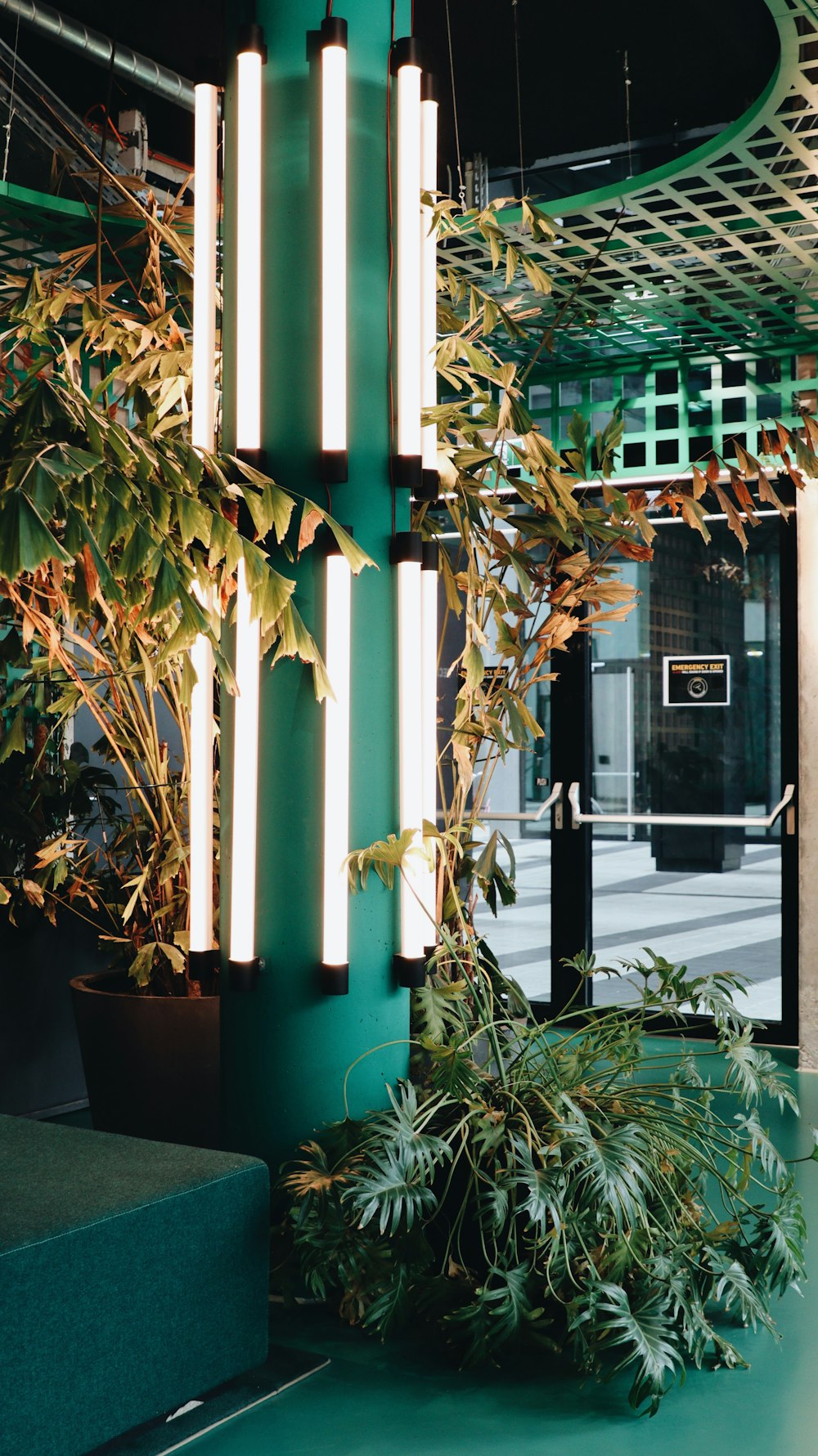 ein grüner Raum mit Pflanzen und Lichtern, die von der Decke hängen