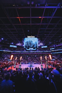 a crowd of people watching a basketball game