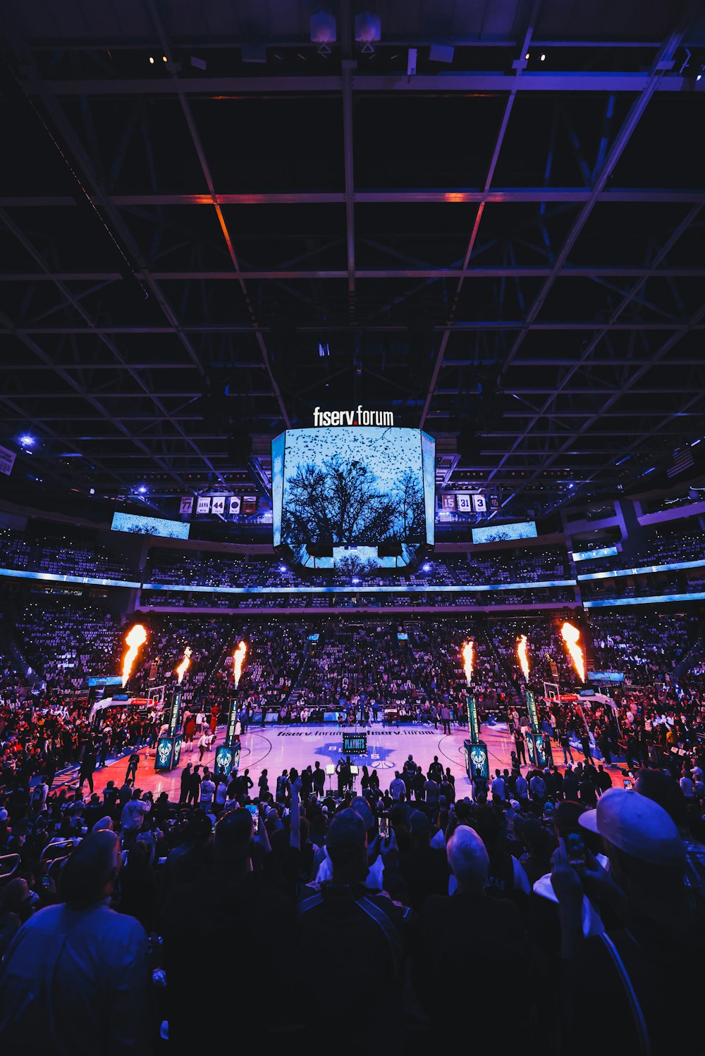 a crowd of people watching a basketball game