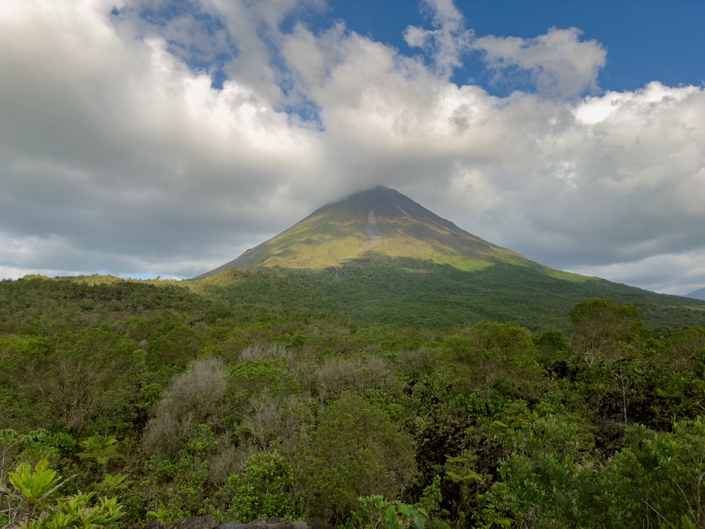 uma montanha muito alta cercada por árvores verdes exuberantes