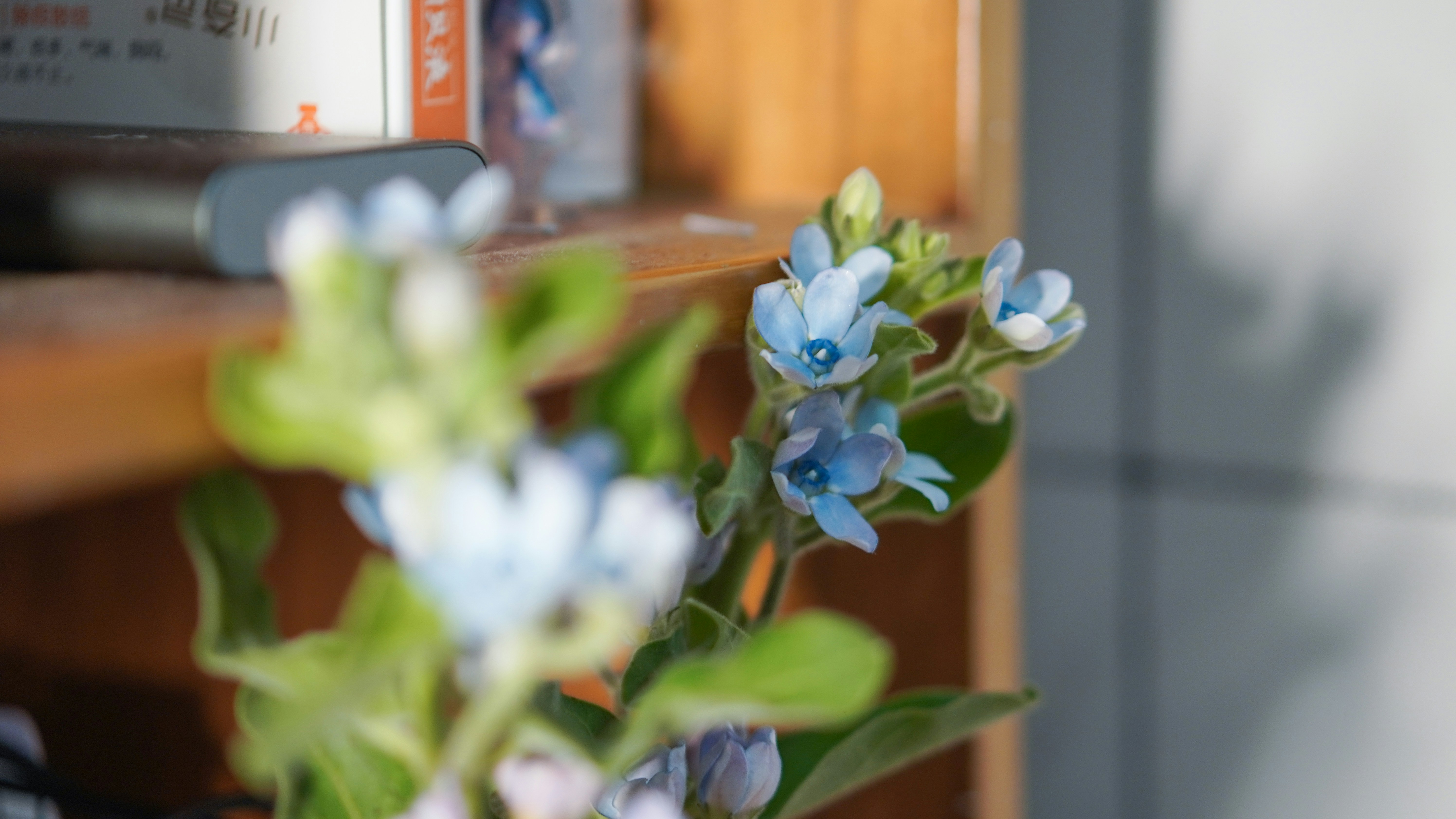 a vase of blue flowers sitting on a table