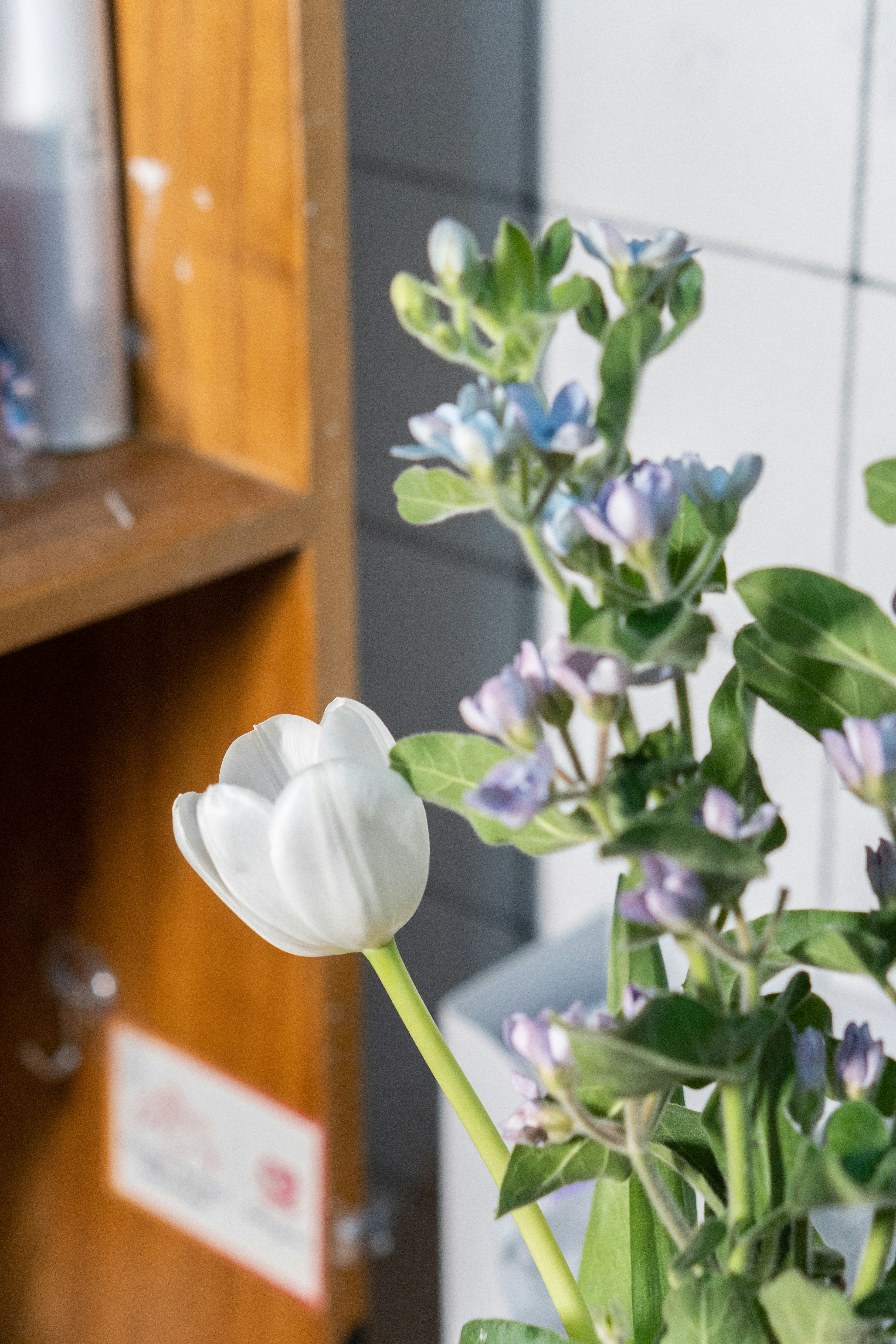 a close up of a flower near a shelf
