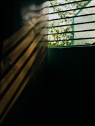 Technician carefully installing blinds in a bright, sunlit room