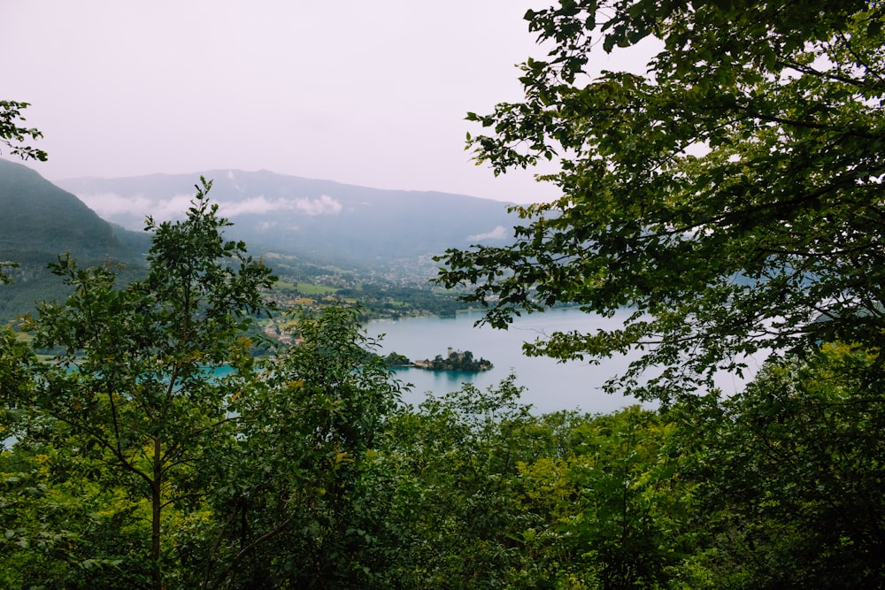 Ein Gewässer, umgeben von Bäumen und Bergen