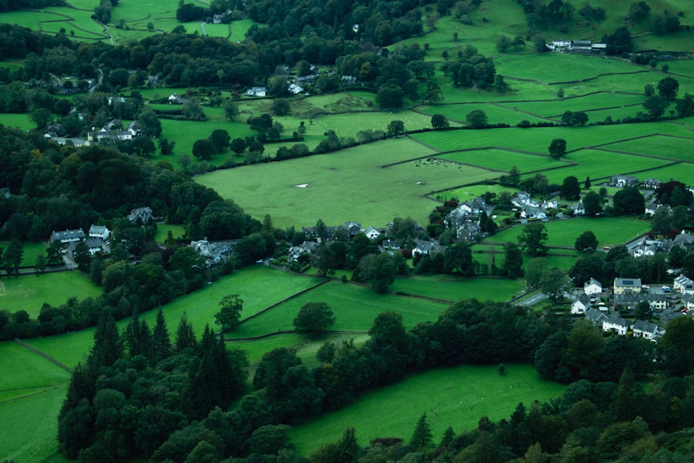 an aerial view of a village surrounded by trees