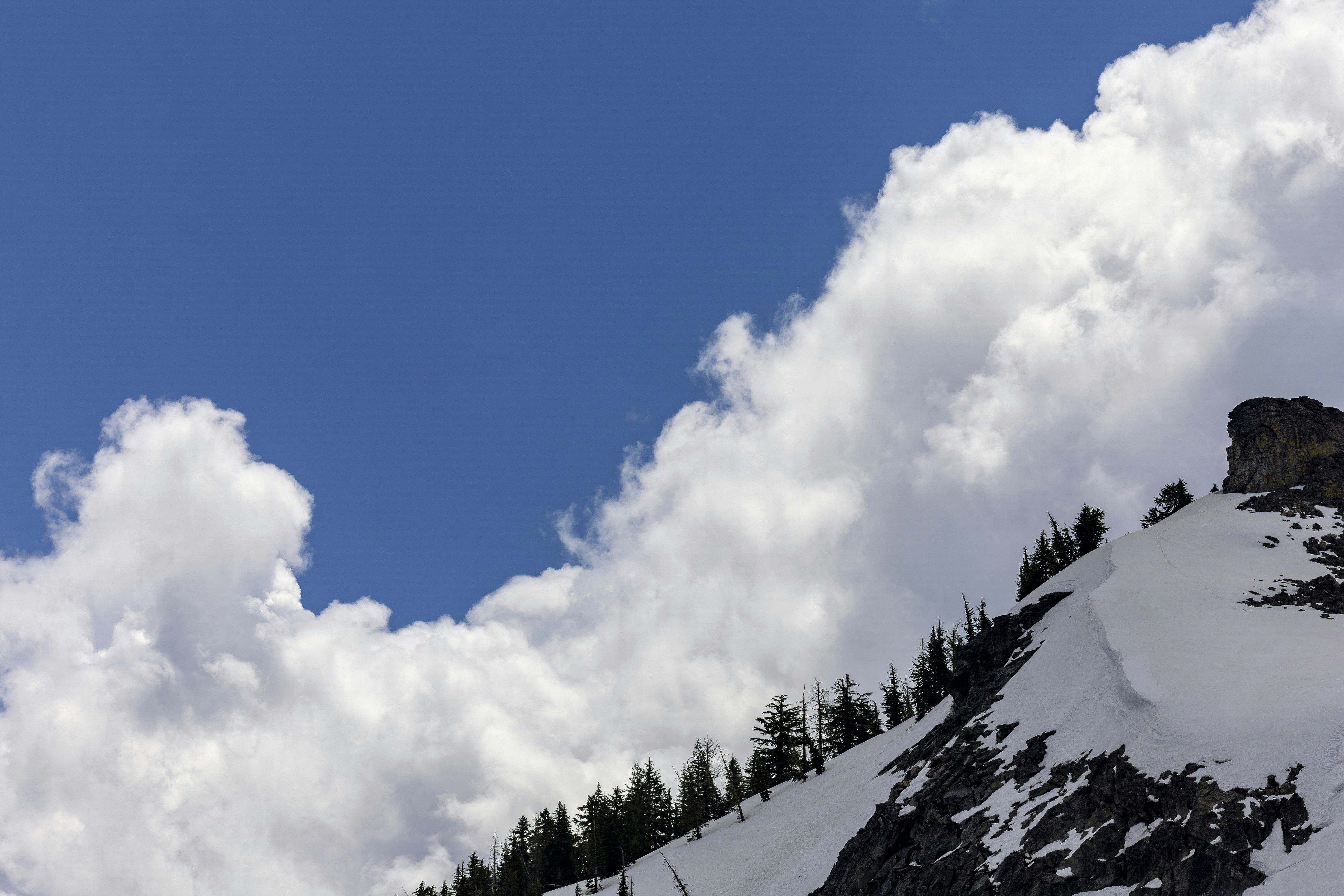 Photo by leo_visions_