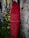 A vibrant red surfboard is propped up against a textured stone wall. The surfboard features a small design or logo near the top and appears weathered with white markings. Lush green foliage and purple flowers surround the base of the surfboard, adding a natural element to the urban setting.