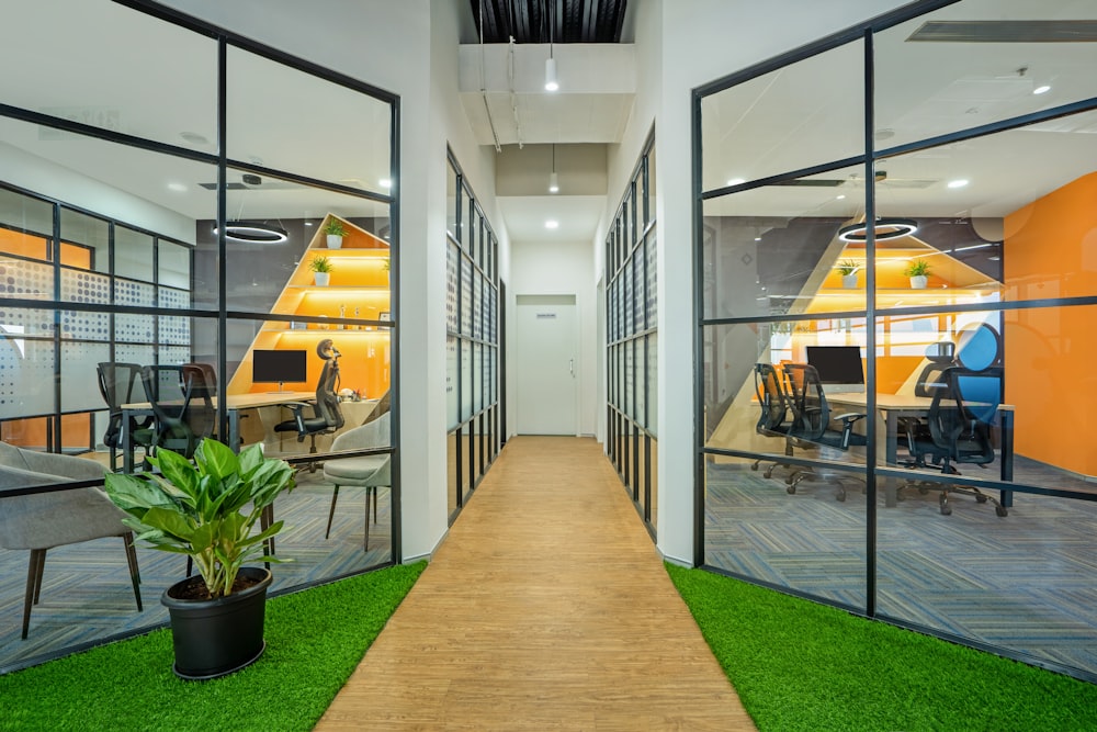 an office with a grass floor and glass walls