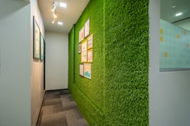 A hallway with one wall covered in green artificial grass, adorned with framed artwork. The opposite wall is plain with more framed pictures. Overhead lighting comprises spotlights integrated into the ceiling.