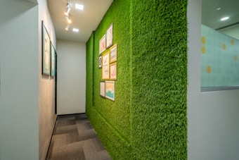 A hallway with one wall covered in green artificial grass, adorned with framed artwork. The opposite wall is plain with more framed pictures. Overhead lighting comprises spotlights integrated into the ceiling.