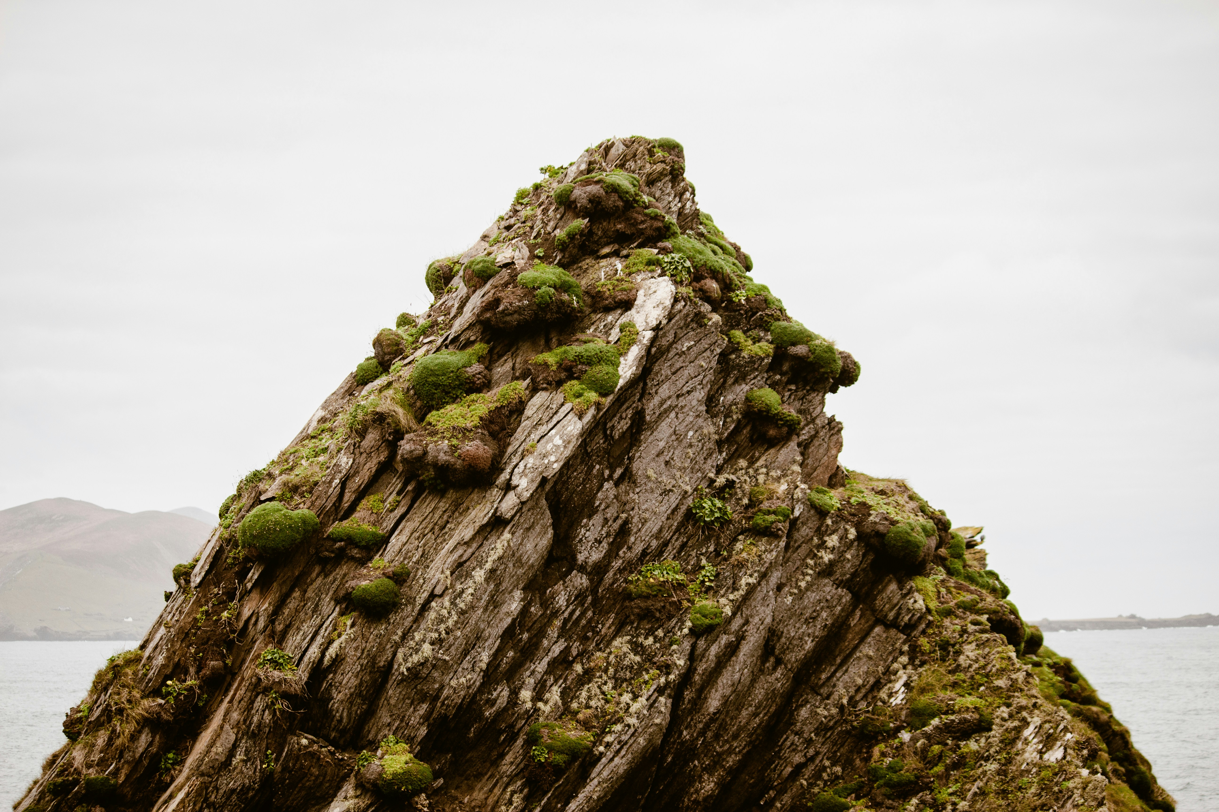 a rock covered in green moss next to a body of water