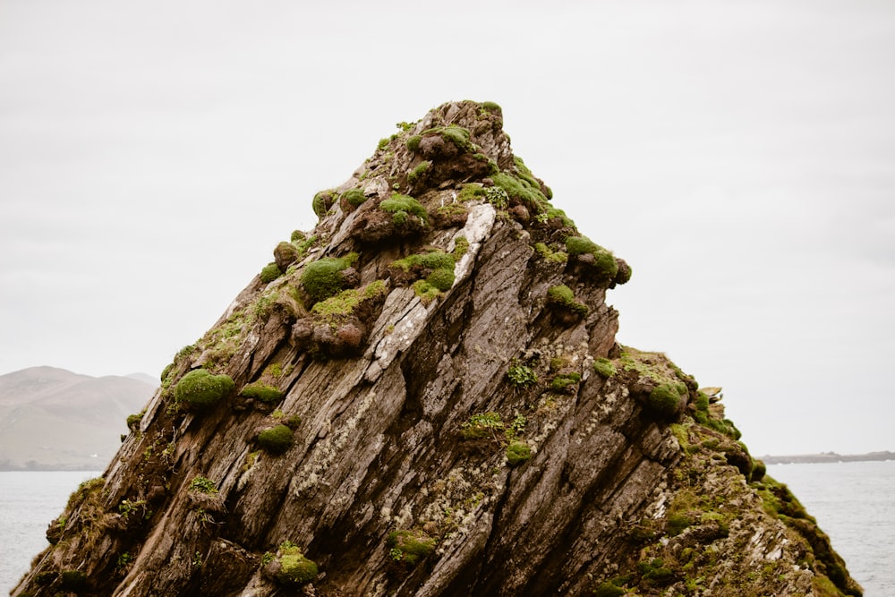 a rock covered in green moss next to a body of water