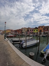 A serene view of colorful trajineras on a canal.