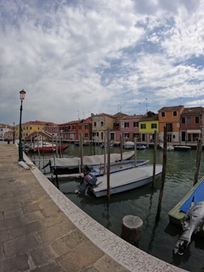 A serene view of colorful trajineras on a canal.