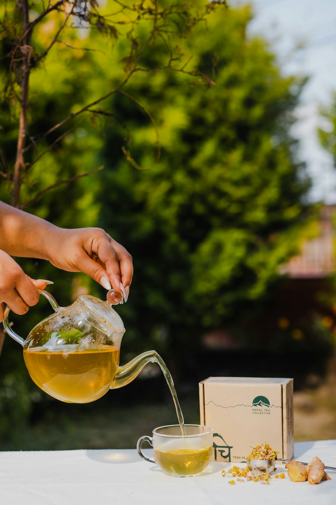 Chamomile tea leaves