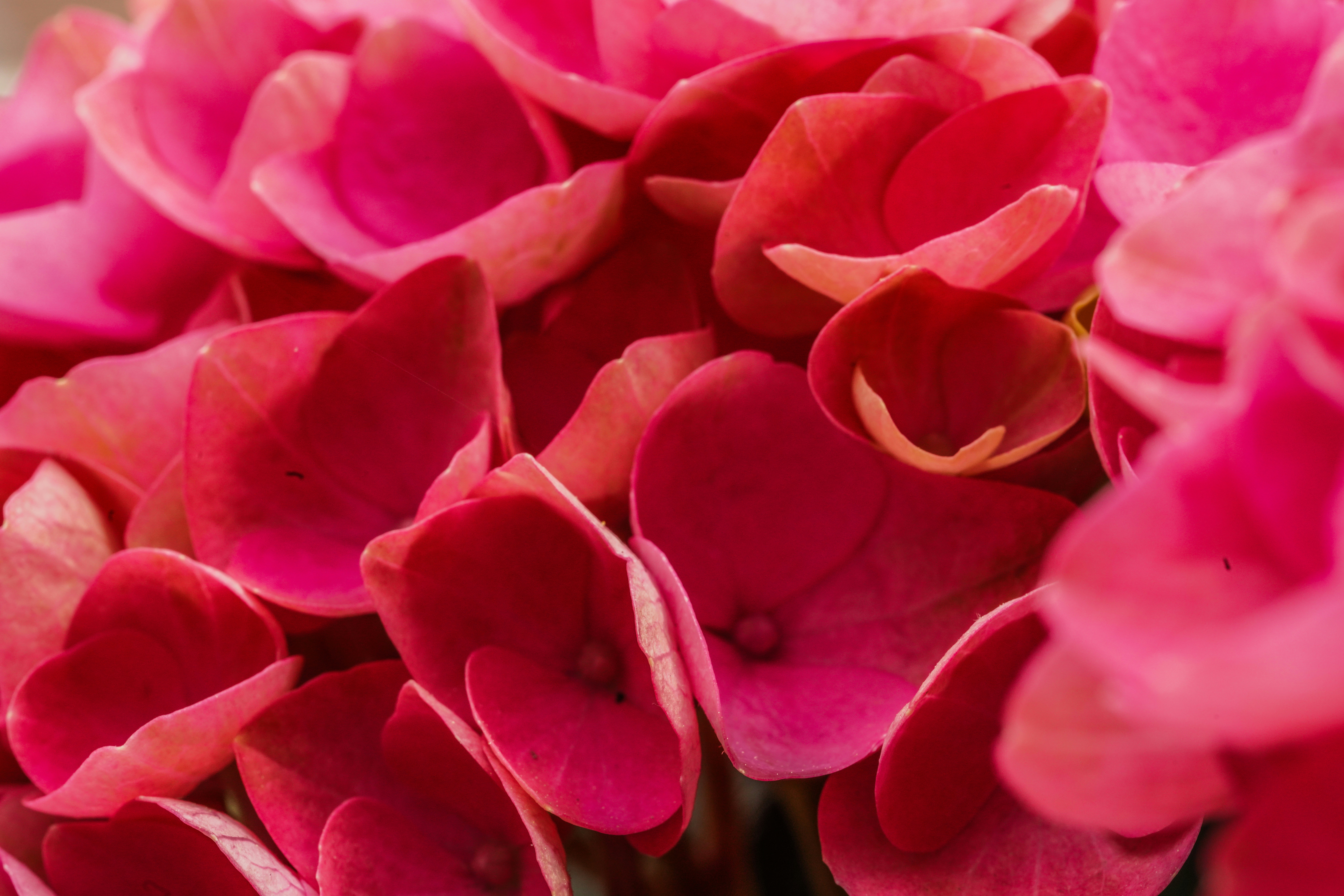 Photo by hooverpaul55