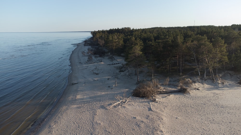an aerial view of a beach with trees in the background