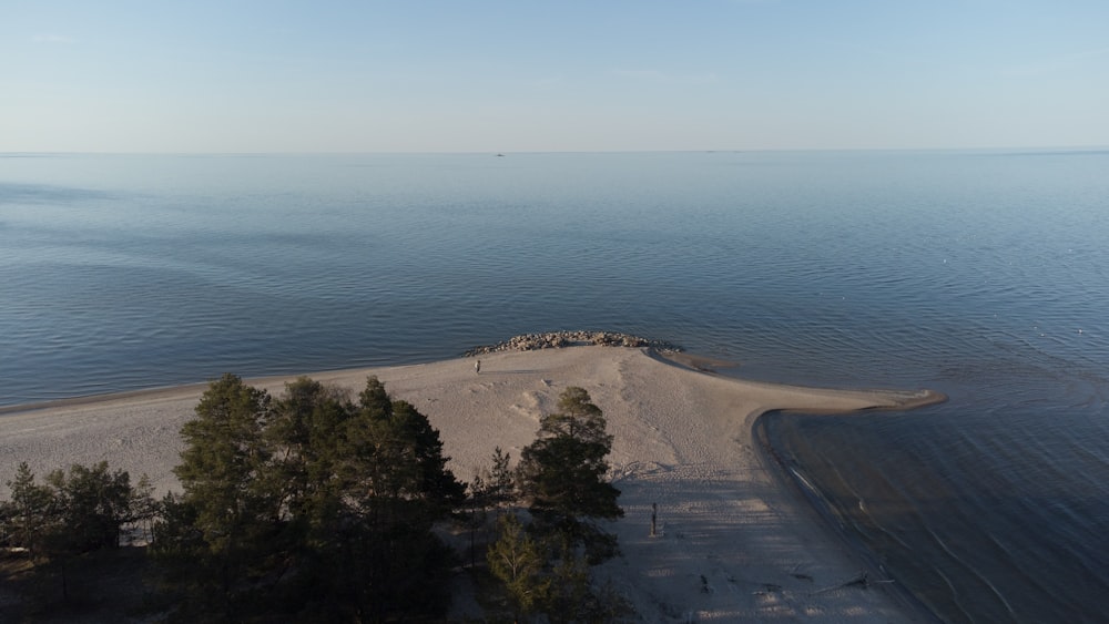 an aerial view of a beach with trees in the foreground