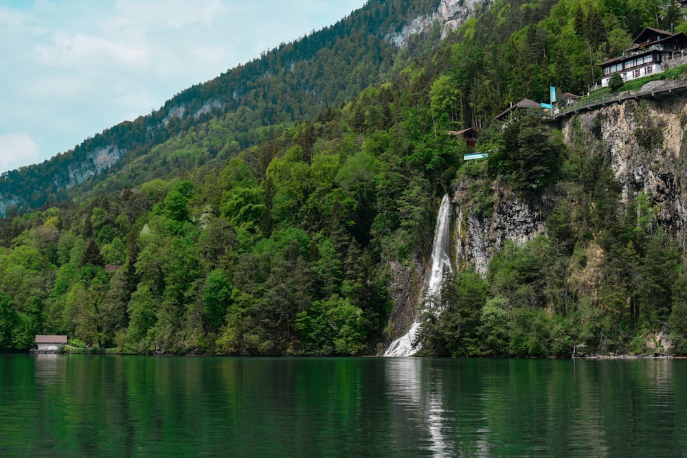 a large body of water surrounded by a forest