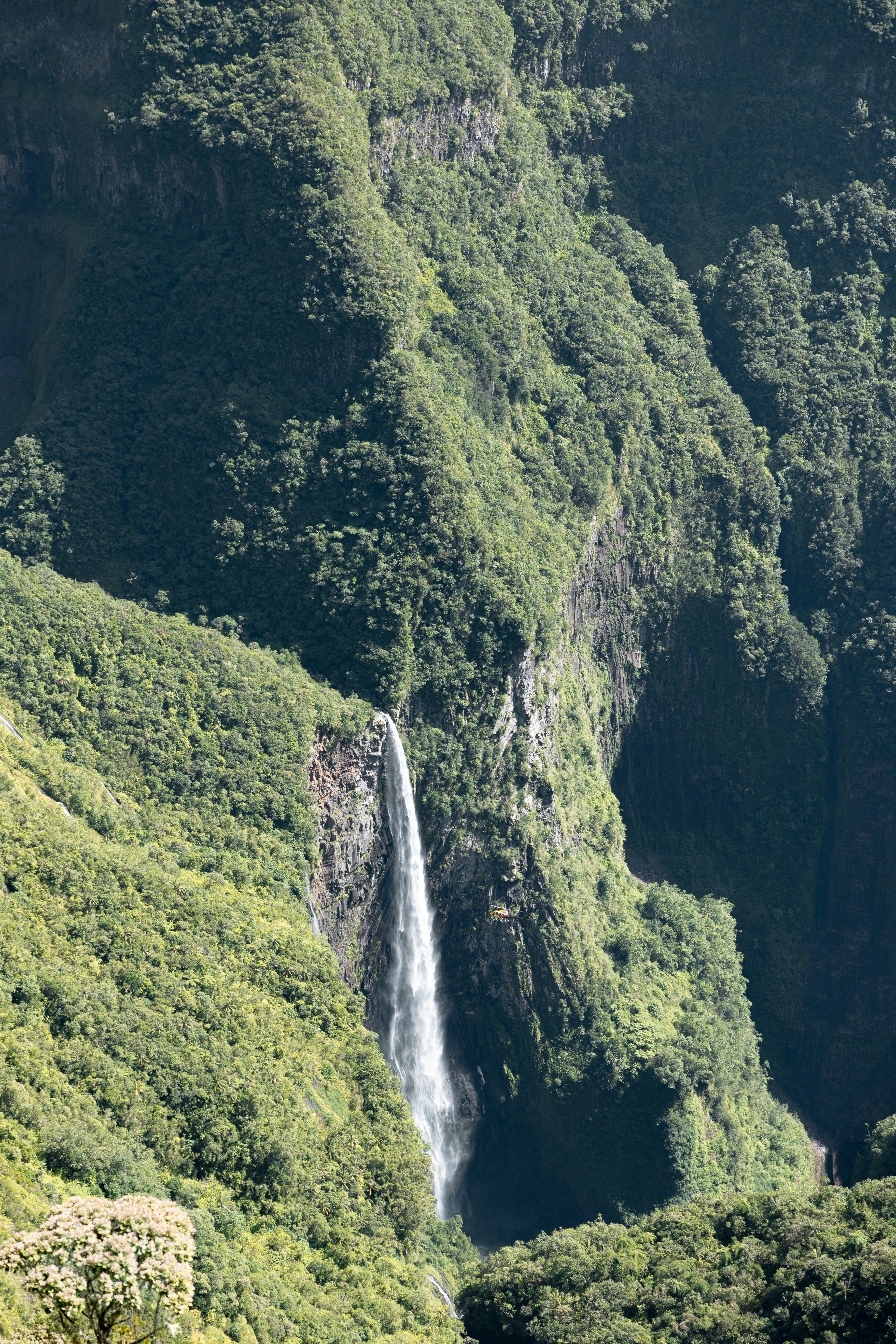 Una cascada en medio de un exuberante valle verde