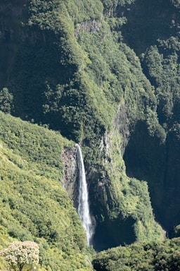 a waterfall in the middle of a lush green valley
