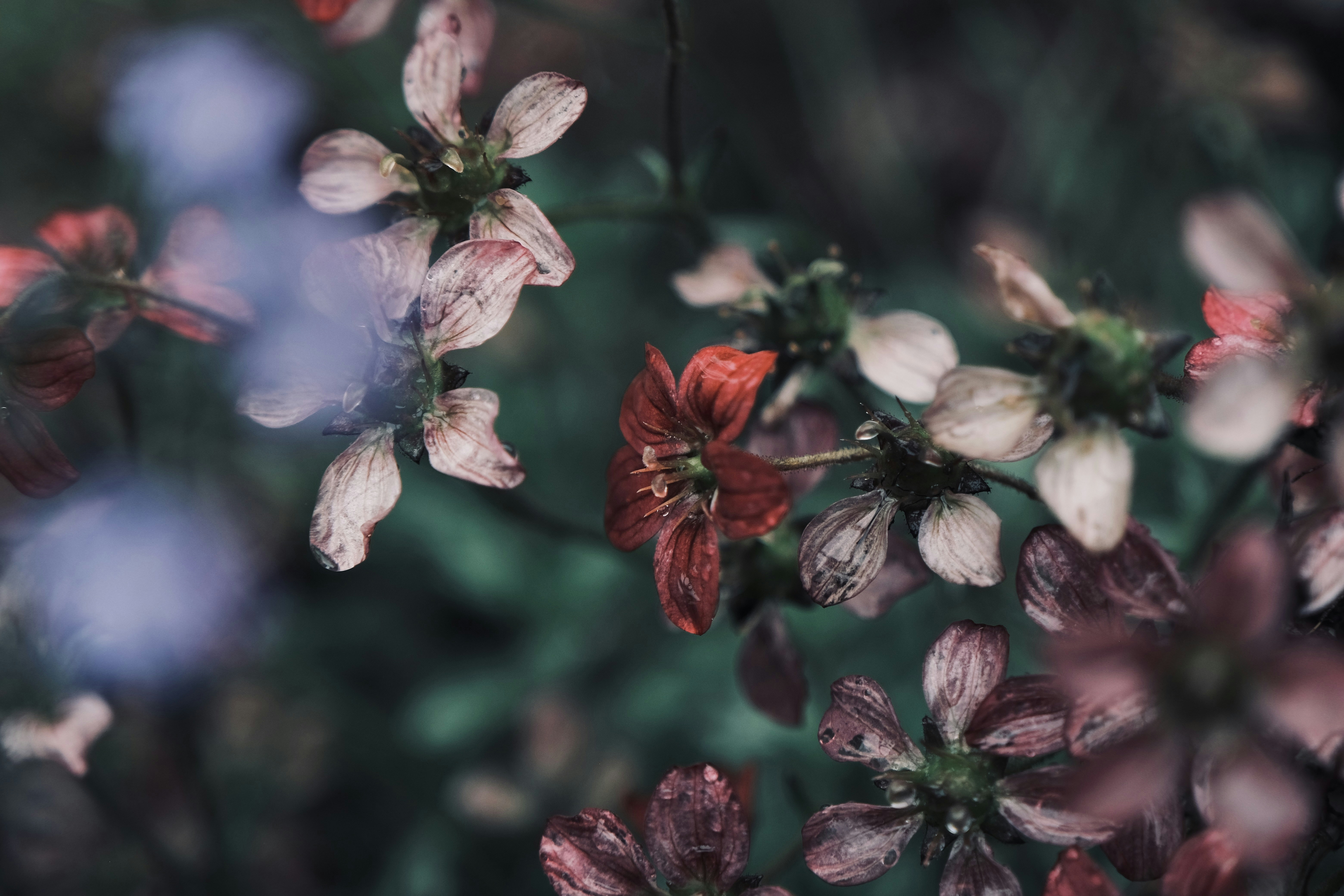 Photo by mkrawczynski