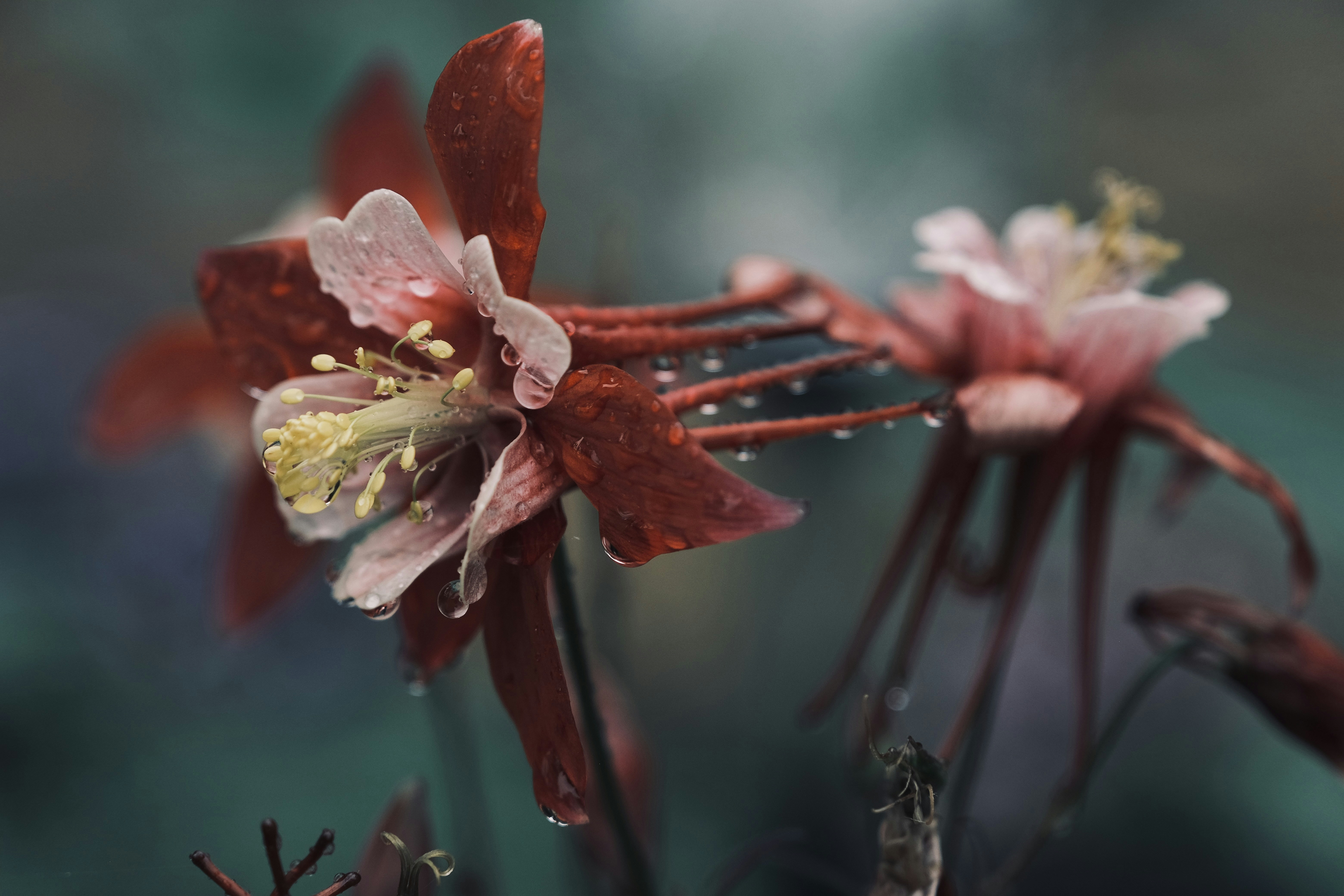 Photo by mkrawczynski