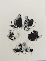 A gentle illustration of a paw print with a heart in soft pastel colors.