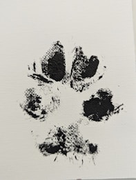 Black ink imprint of an animal paw on a white canvas. The paw print appears detailed, with visible texture and indentations from the animal's pads.