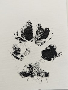 玻璃相框