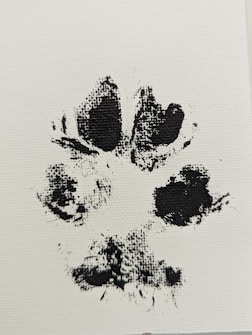Black ink imprint of an animal paw on a white canvas. The paw print appears detailed, with visible texture and indentations from the animal's pads.