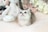 A small, fluffy kitten with grey and white fur gazes upward. It is surrounded by soft toys, including a white stuffed animal with stitched details. In the background, there are decorative flowers and more plush toys.
