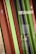 Vertical, glossy panels of alternating colors, primarily in shades of red, green, and dark tones. The panels are aligned closely, creating a pattern of contrasts between the colors and reflections. The background is slightly blurred, hinting at an indoor setting.