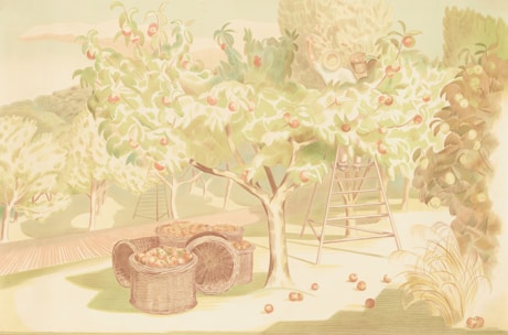 An apple orchard scene with ripe apples hanging from the trees. Woven baskets filled with apples are placed on the ground. A ladder leans against one of the trees. The setting is bright and pastoral, with light green and pastel hues dominating the scene. In the background, there are more trees and foliage, suggesting a large orchard or grove.