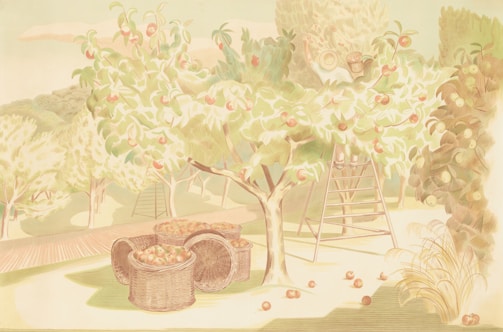 An apple orchard scene with ripe apples hanging from the trees. Woven baskets filled with apples are placed on the ground. A ladder leans against one of the trees. The setting is bright and pastoral, with light green and pastel hues dominating the scene. In the background, there are more trees and foliage, suggesting a large orchard or grove.