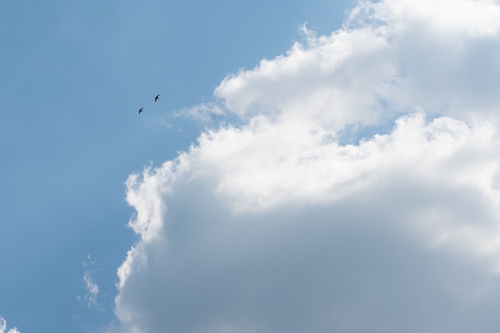 a bird flying in a cloudy blue sky