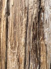 Close-up of digital textures showing weathered wood and stone from a historic building.