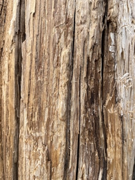 Close-up of digital textures showing weathered wood and stone from a historic building.