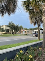A street scene with a few buildings in the background, including a medical facility and another commercial building. A car is driving on the road, and there are some palm trees and flowering plants in the foreground.