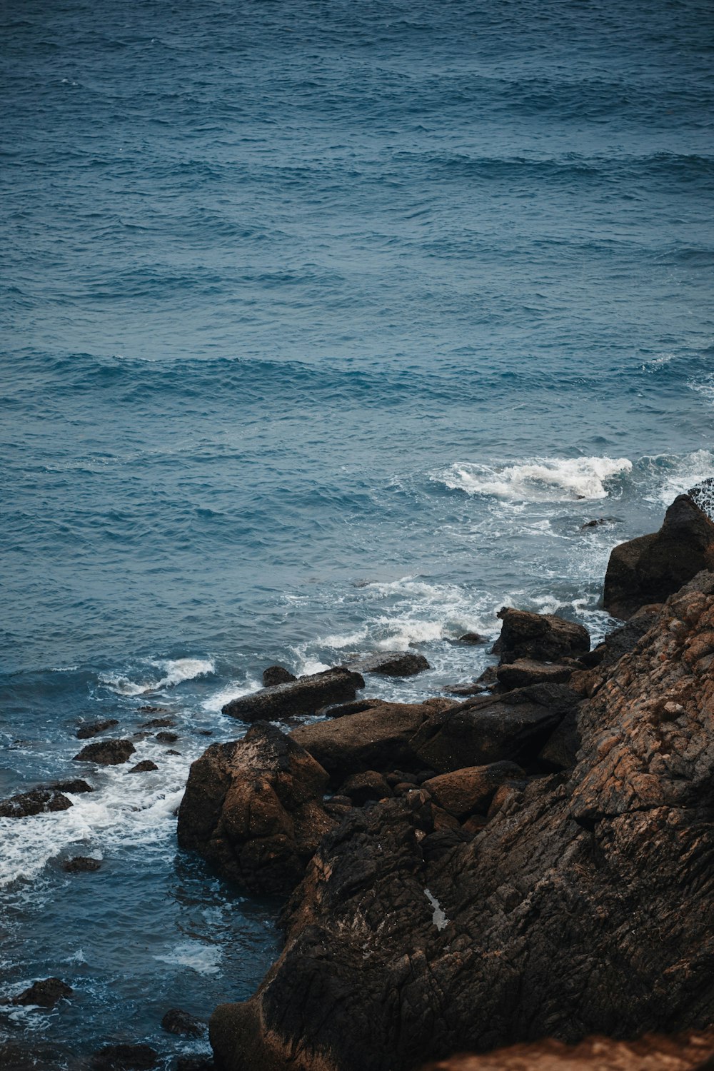 a lone bird sitting on a rock near the ocean